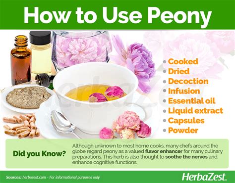 Peony Magic: A Natural Solution for Liver Detoxification